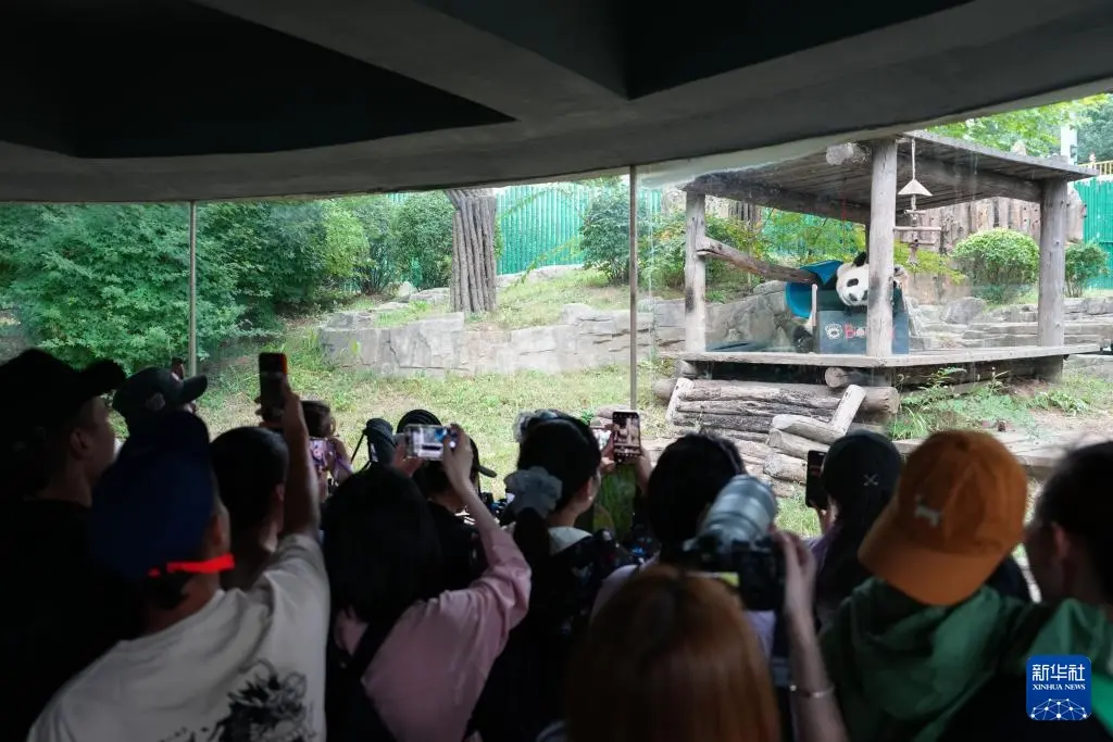 国际大体联, 市文化, https 国际大体联, 市文化, https