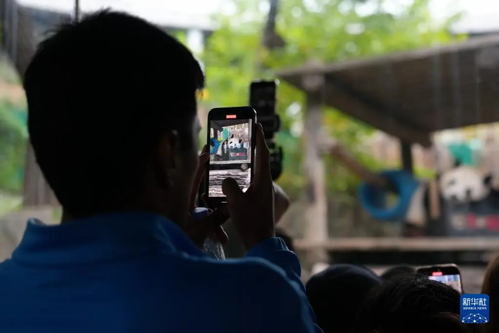 https, https, yid https, https, yid