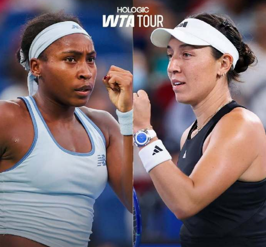 号种子高芙 号种子高芙